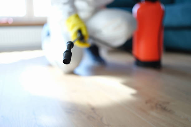 Best Air Quality Testing for Mold Spores  in Honey Grove, TX